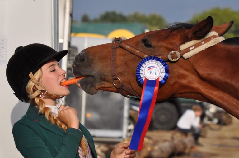 horse-934534_1920-1400x930-1