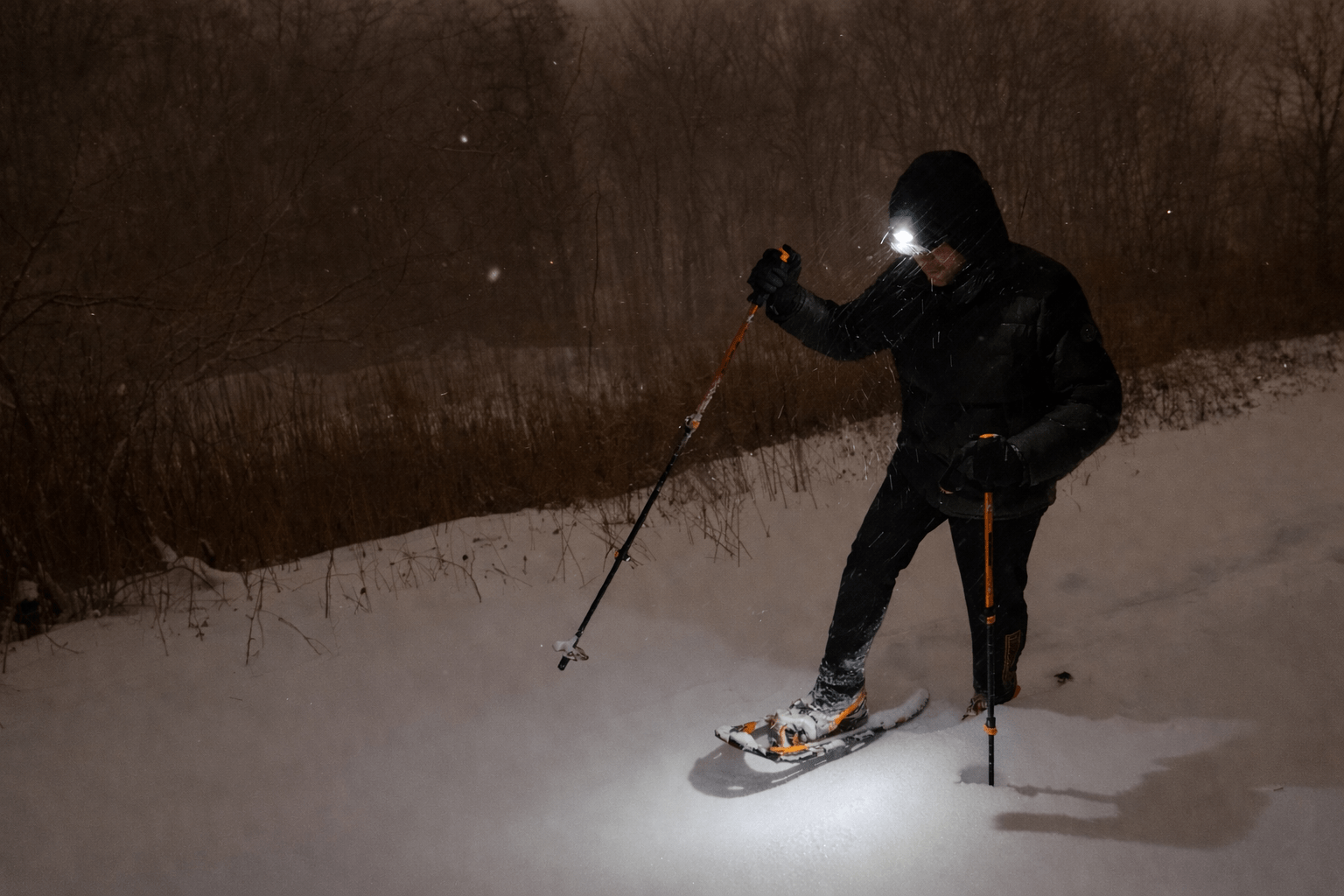 The Quiet Strength of Winter: Lessons from the Snowshoe Trail